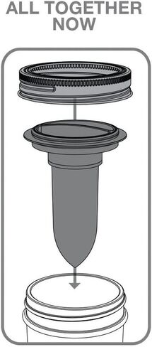 Jarware Salt and Pepper Shaker for Regular Mouth Mason Jars, Grey in Kuwait