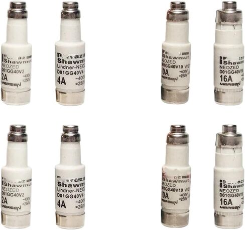 FUSE Lindner-NEOZED D01GG40V16 400V-250 16A D01GG40V2 D01GG40V4 D01GG40V6 D01GG40V10 D01GG40V16 (D01GG40V16 16A) in Kuwait