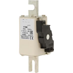 1000V Fuse 170M3974 Fuse 170M3974 in Saudi Arabia