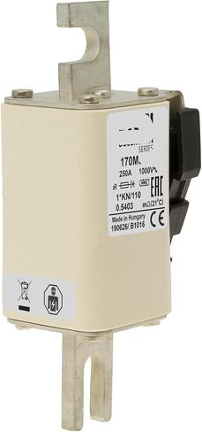 1000V FUSE 170M3974 FUSE 170M3974 in Saudi Arabia