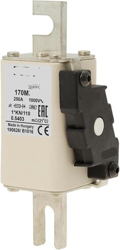 1000V FUSE 170M3974 FUSE 170M3974 in Saudi Arabia
