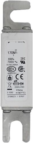 170M5590 170M5591 170M5592 170M5593 High Voltage Fuse DC Fuse core(170M5591) in Saudi Arabia