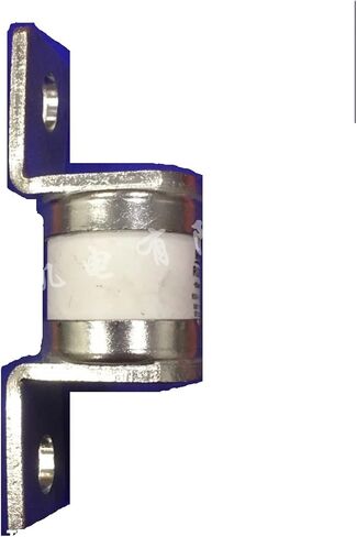 FUSE RGS19 CR6L 600V 315A 325A 350A BOLT-ON FAST FUSE (315A) in Saudi Arabia