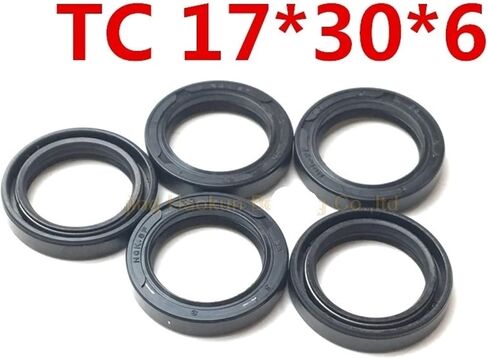 10pcs 17x30x6 TC17x30x6 Seleton Oil Seal 17x30x6 أختام الأختام 17 * 30 * 6 أختام عمود شعاعي in Saudi Arabia