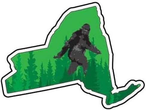 New York State Bigfoot Sticker Premium Vinyl Big Foot Sasquatch yeti NY Truck Car Decal Vinyl Bumper Sticker Sticks to Any Surface 5" in Saudi Arabia