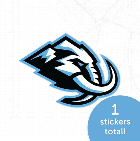 Desert Cactus Utah Mammoth Sticker NHL Feeld National Hockey League Vinyl Scal Lucp Botto Mater Carbook (فرد A) in Saudi Arabia