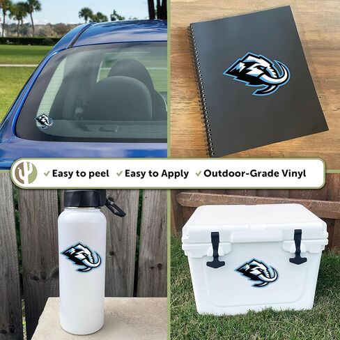 Desert Cactus Utah Mammoth Sticker NHL Feeld National Hockey League Vinyl Scal Lucp Botto Mater Carbook (فرد A) in Saudi Arabia