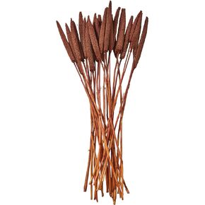 Deco 79 Dried Plant Bunny Tail Natural Foliage, 1" x 1" x 20", Brown