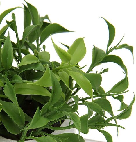 plants 3 Pack Mini Potted Fake Plants Artificial Small Boston Ferns Plant with Wooden Planter Box Indoor for Table Mantle Window Sill Home Decor in Saudi Arabia