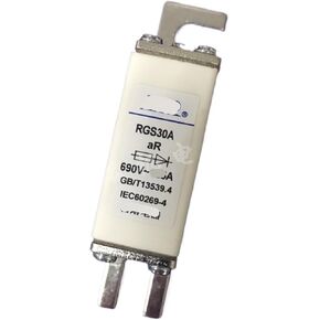 Fuse RGS30A 3NE87 660V 40A 50A 63A 80A Fast Fuse HLS00(50A) in Saudi Arabia