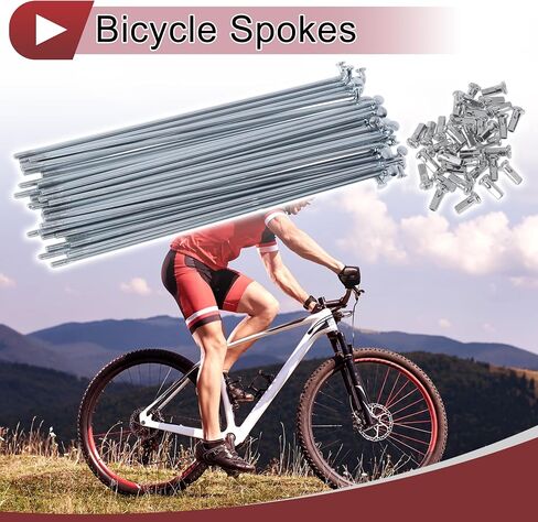 Motoforti 36 Set 12G Bicycle Spokes 155mm Bike Wheel Spokes 45 Steel Galvanized Silver Tone in Saudi Arabia