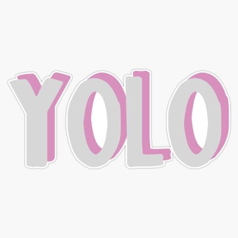Yolo Quote Bumper Sticker Vinyl Decal 5" in Saudi Arabia