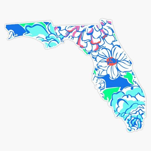 Lilly States - Florida Vinyl Waterproof Sticker Decal Car Laptop Wall Window Bumper Sticker 5" in Saudi Arabia