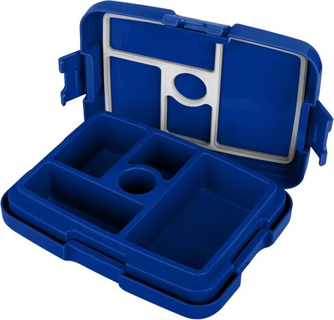 FOCO NBA للجنسين-البالغين مرخصين رسميا 2-نغمة الشعار الكبير فريق ملون تسرب كرة السلة in Kuwait