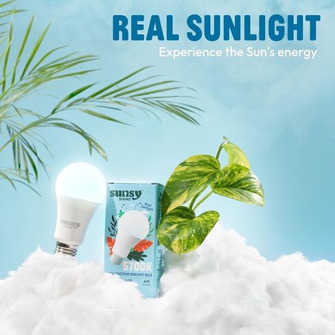 sunsy Shine - The Full-Spectrum Truly Flicker-Free Sunlight Bulb for Humans - Boosts Energy, Mood, and Circadian Rhythm for Better Health - Near Perfect CRI - US-Based Company in Saudi Arabia