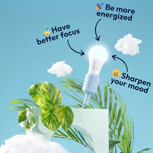 sunsy Shine - The Full-Spectrum Truly Flicker-Free Sunlight Bulb for Humans - Boosts Energy, Mood, and Circadian Rhythm for Better Health - Near Perfect CRI - US-Based Company in Saudi Arabia