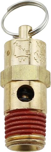 TAODAN Brass 1/4inch NPT Air Compressor Automatic Air Vent Valve 200 PSI Set Pressure Pressure Relief Valve Suitable for Air Compressors in Saudi Arabia