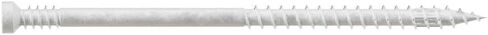 Simpson Strong-Tie FT07300R300W Finish Trim Screw-7 × 3 بوصة. in Saudi Arabia