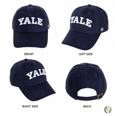 Desert Cactus Yale University Baseball Hat Bulldogs bulldogs قبعات مطرزة على Cap قابلة للتعديل حزام قماش للبالغين (النمط B1) الأزرق in Kuwait