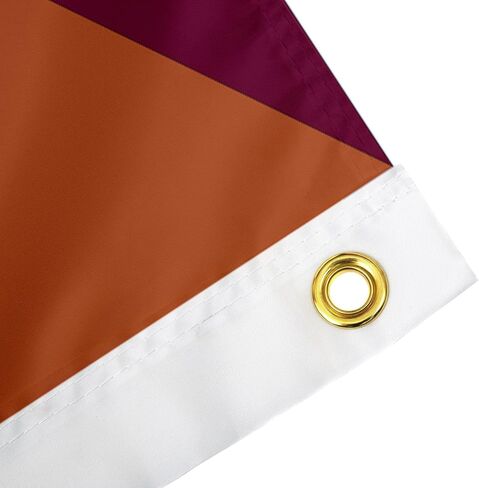 جامعات Desert Cactus Texas UT Austin Longhorns X Tamu Aggies Rivies Flag Banner 100 ٪ Polyester Indoor Outdoor 3X5 FET (علم المنافسين) in Kuwait