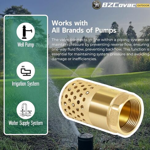 2-Inch Brass Foot Valve with Mesh Strainer, Universal One-Way Female NPT Check Valve with Backflow Prevention, Lead-Free Brass Construction for Irrigation and Water Pump Systems in Saudi Arabia