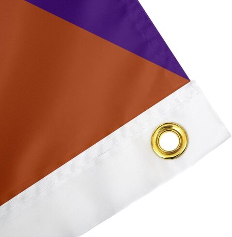 جامعات صبار الصحراء تكساس UT AUSTIN LONGHORNS X TCU HORNED FROGS REVALS FLAG LANNER 100 ٪ بوليستر داخلي في الهواء الطلق 3 × 5 أقدام (علم المنافسين) in Saudi Arabia