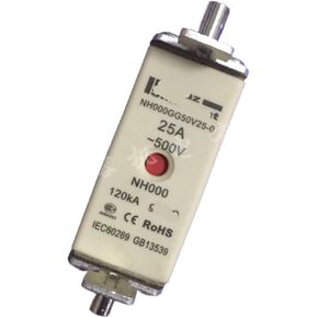 Fuse NH000GG50V25 500V 25A Fuse NH000GG50V25 500V 25A in Saudi Arabia