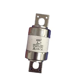Fuse RGS7 700V 260A 300A Bolt-on Fast Fuse(300A) in Saudi Arabia