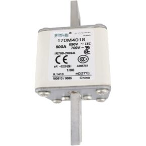 170m4018 Fast Blow Fuse in Kuwait