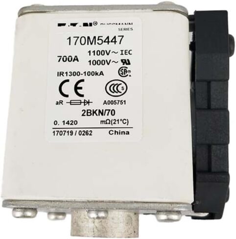170m5447 170m5448 Fast Blow Fuse (170m5447) in Saudi Arabia