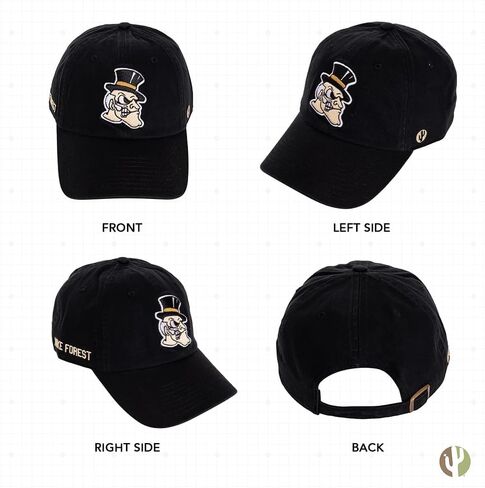 Desert Cactus Wake Forest University Baseball Hat Demon Deacons Brimmed Embroirderd Hats Cap Adjustable Cloth Strap Adult (Style E1) Black in Saudi Arabia