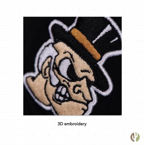 Desert Cactus Wake Forest University Baseball Hat Demon Deacons Brimmed Embroirderd Hats Cap Adjustable Cloth Strap Adult (Style E1) Black in Saudi Arabia