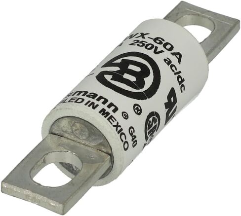 FWX-60A | Bussmann Fuse 60 AMP 250VAC/DC in Saudi Arabia