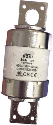 Fuse RGS7 700V 260A 300A Bolt-on Fast Fuse(300A) in Saudi Arabia