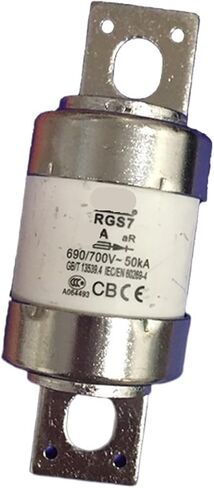 Fuse RGS7 700V 260A 300A Bolt-on Fast Fuse(300A) in Saudi Arabia