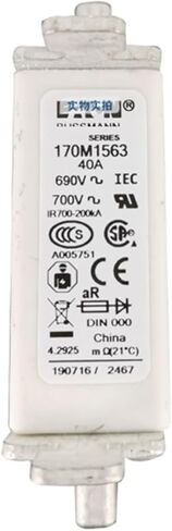 170M1563 Low Voltage Fuse Power Module DC Fuse Component Fuse in Saudi Arabia