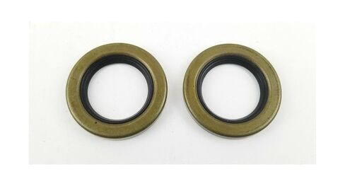 RG06010 RG06-010 12192TB Double Lip Seals - 1.25" ID - 1.979" OD - 2 Pack RG06-010 in Saudi Arabia