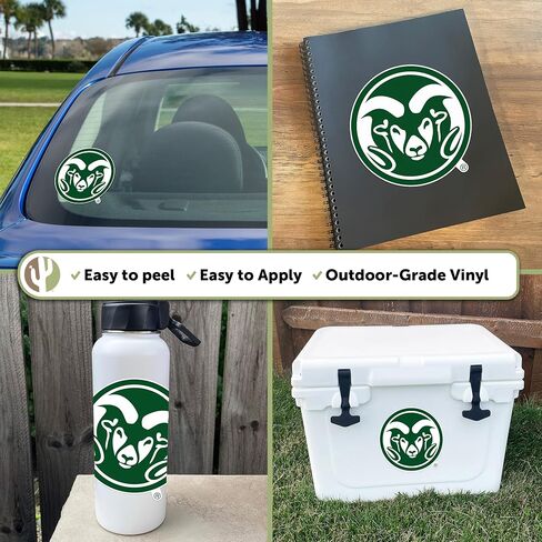 Desert Cactus Colorado State University Sticker CSU Rams Vinyl Decal Laptop Water Bottle Car Scrapbook (IND 00002) in Saudi Arabia