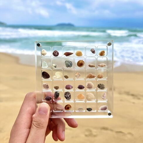 Acrylic Magnetic Seashell Display Box, Seashell Storage Box Display Case Decorative Seashell Starfish Trinket, Seashell Storage Box(36 Grids) in Kuwait