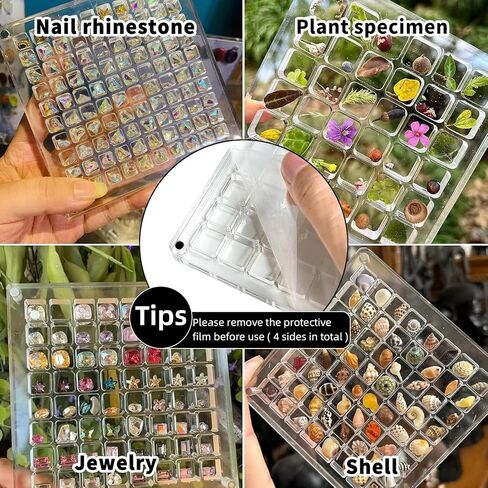 Acrylic Magnetic Seashell Display Box, Seashell Storage Box Display Case Decorative Seashell Starfish Trinket, Seashell Storage Box(36 Grids) in Kuwait