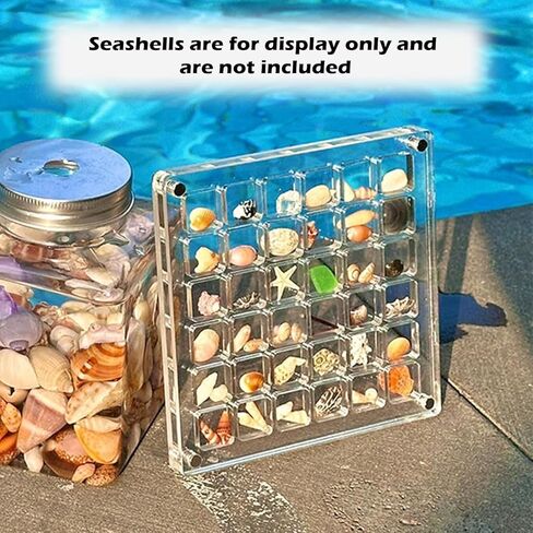 Acrylic Magnetic Seashell Display Box, Seashell Storage Box Display Case Decorative Seashell Starfish Trinket, Seashell Storage Box(36 Grids) in Kuwait