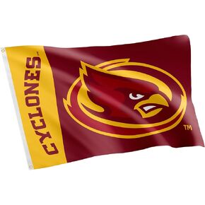 Desert Cactus Iowa University Flag Flag Cyclones ISU Banners 100 ٪ Polyester Indoor Outdoor 3X5 FETS (اسم الفريق) in Saudi Arabia