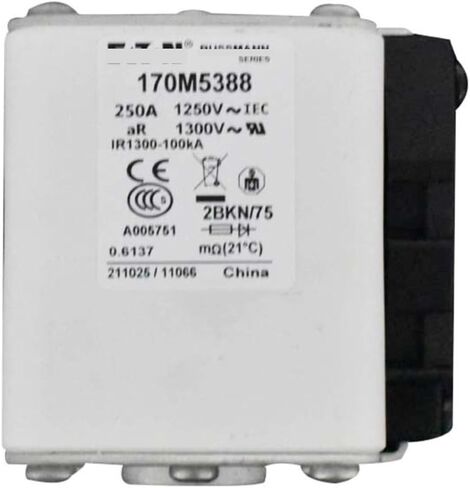 170M5388 Fast Blow Fuse in Saudi Arabia