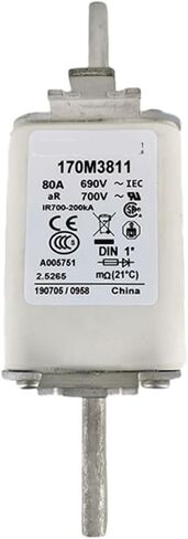 170M3811 Low-Voltage Drop-Out Fuse for Protection Device 170M3811 Low-Voltage Drop-Out Fuse for Protection Device in Saudi Arabia