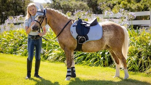 Lemieux Mini Jump Jump Suede Square Saddle for Ponies - Treasable & Soft - بطانة الخيزران - سرج للخيول - معدات وركوب الفروسية in Saudi Arabia