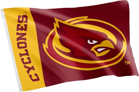 Desert Cactus Iowa State University Flag Cyclones ISU Banners 100% Polyester Indoor Outdoor 3x5 feet Flags (Team Name) in Saudi Arabia