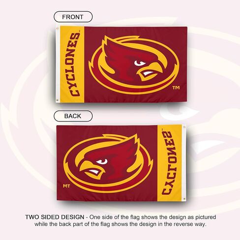 Desert Cactus Iowa State University Flag Cyclones ISU Banners 100% Polyester Indoor Outdoor 3x5 feet Flags (Team Name) in Saudi Arabia