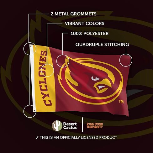 Desert Cactus Iowa State University Flag Cyclones ISU Banners 100% Polyester Indoor Outdoor 3x5 feet Flags (Team Name) in Saudi Arabia
