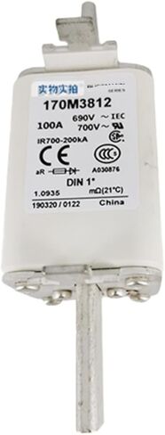 170M3812 Fast Blow Fuse in Saudi Arabia