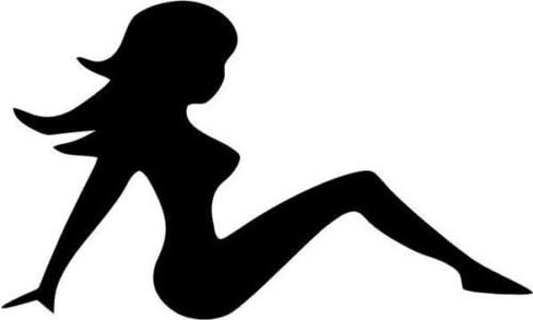 Trucker Girl Sexy Vinyl Graphic Car Truck Windows Decor Decal Sticker - Die cut vinyl decal for windows, cars, trucks, tool boxes, laptops, MacBook - virtually any hard, smooth surface in Saudi Arabia